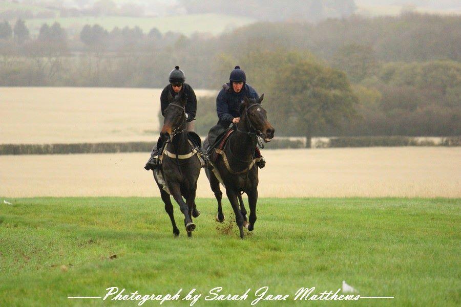 Working On The Grass Gallops