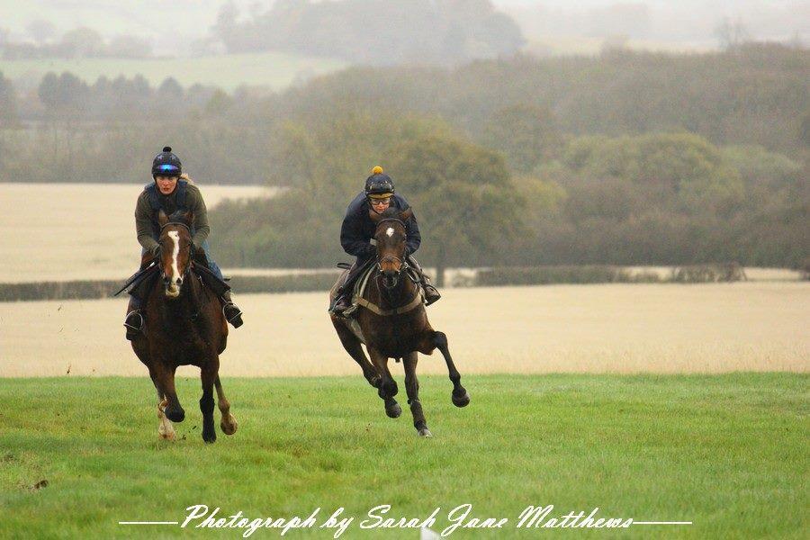 Working On The Grass Gallops